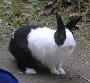 Min